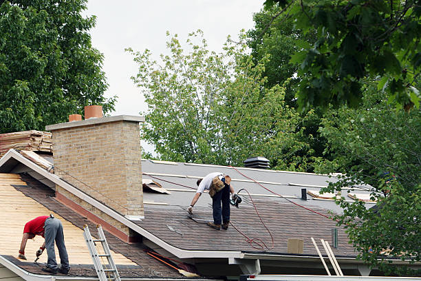 Roof Gutter Cleaning in Ormond Beach, FL